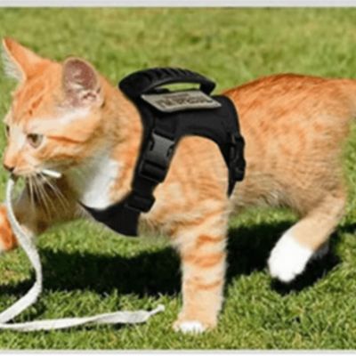 Harnais Pour Chat Sécurisé Et Ajustable - Pour Promenade, Randonnée, Voyage - Confort Et Anti-Fuite