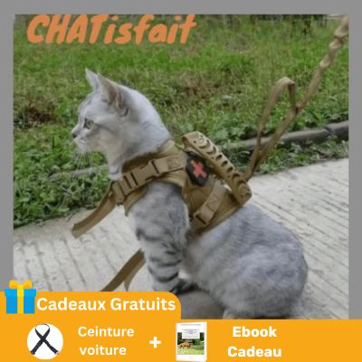 harnais chat anti fugue - CHATisfait