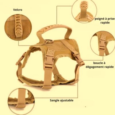 harnais chat anti fugue - CHATisfait
