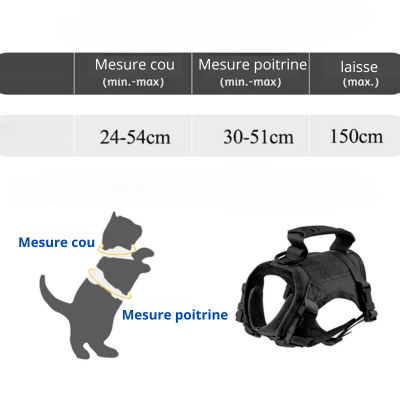 Harnais chat anti fugue taille et mesure