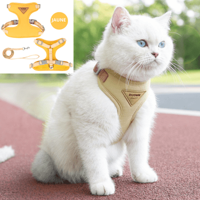 Harnais-chat-jaune