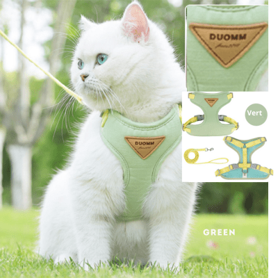 Harnais-chat-vert