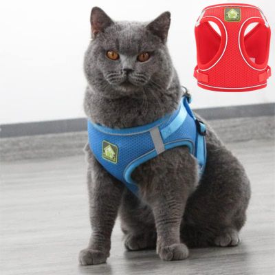 Harnais chat comfortfit rouge