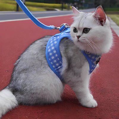 harnais-pour-chat-bleu