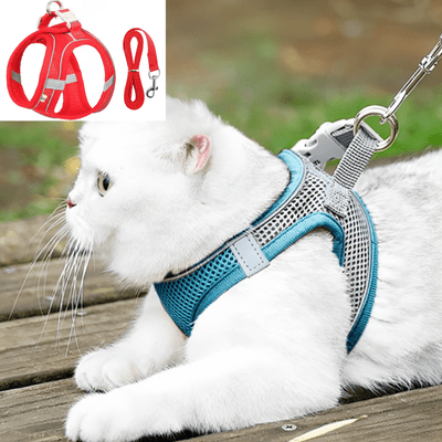 Harnais-pour-chat-catlover rouge