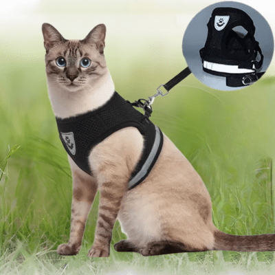 Harnais-pour-chat-couleur-noir