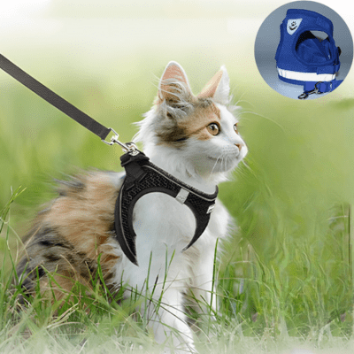 Harnais-pour-chat-couleur-bleu