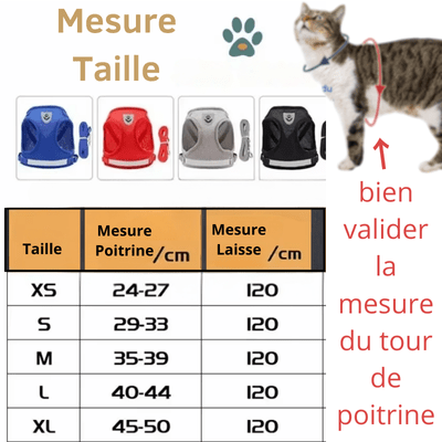 Harnais-pour-chat-mesure et taille