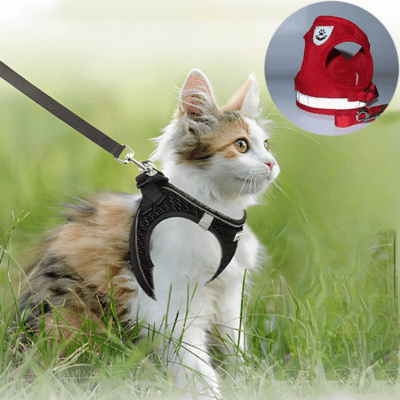 Harnais-pour-chat-couleur-rouge