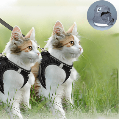 Harnais-pour-chat-couleur-gris