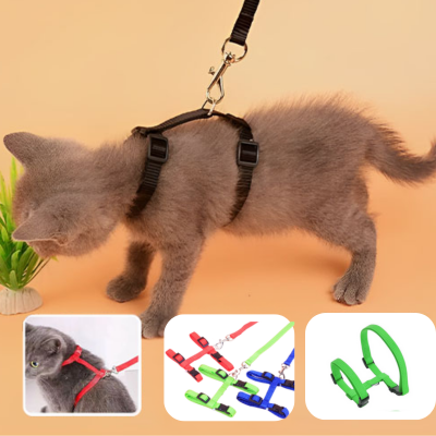Harnais-pour-chat-corde verte