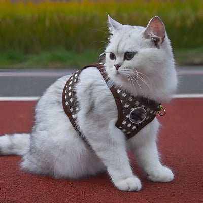 harnais-pour-chat-marron