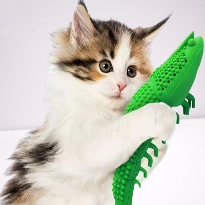 Jouet interactif chat - CatnipToys™ - Vert - CHATisfait