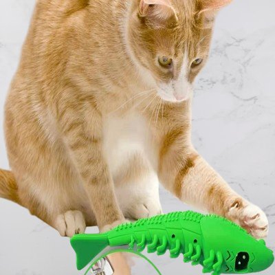 Jouet interactif chat - CatnipToys™ - Vert - CHATisfait