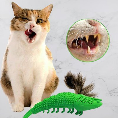 Jouet interactif chat - CatnipToys™ - Vert - CHATisfait