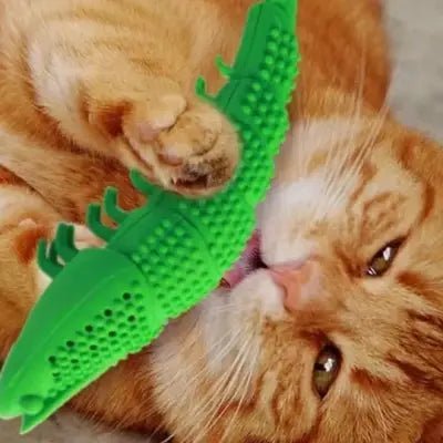 Jouet interactif chat - CatnipToys™ - Vert - CHATisfait