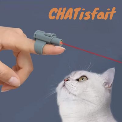 jouet pour chat laser pointeur stimulant