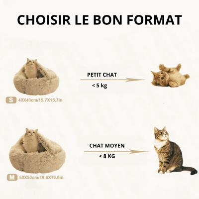 niche-pour-chat-dimension