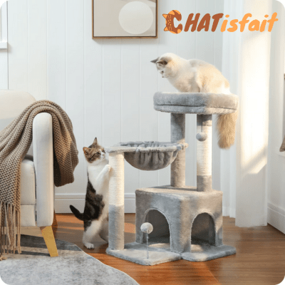 Petit arbre a chat | Catlover - CHATisfait