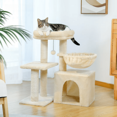 Petit arbre a chat | Catlover - CHATisfait