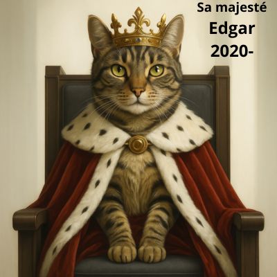 Portrait personnalisé de votre chat | CHATisfait - CHATisfait