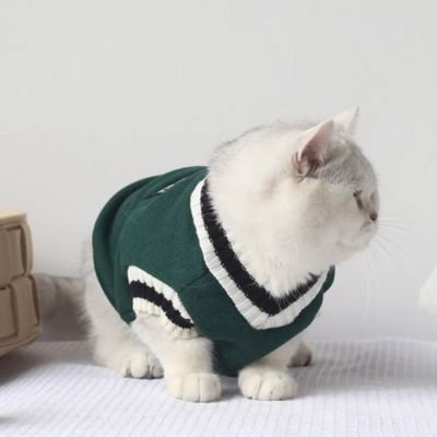 Pull pour chat chic et douillet vert