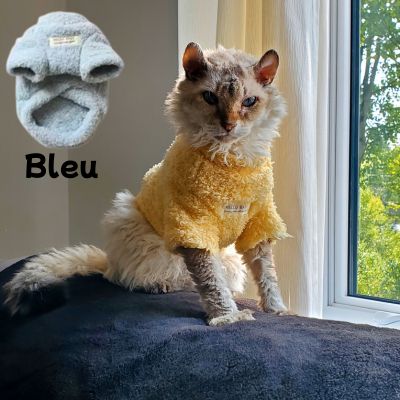 Pull pour chat confortable bleu