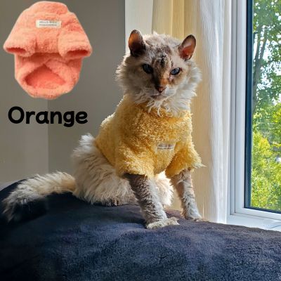 Pull pour chat confortable orange