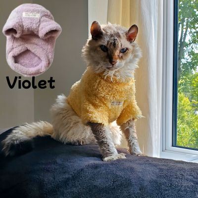 Pull pour chat confortable violet