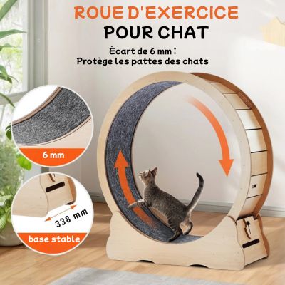Roue d'exercice pour chat | Félifit - CHATisfait