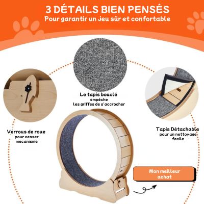 Roue d'exercice pour chat | Félifit - CHATisfait