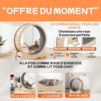Roue d'exercice pour chat | Félifit - CHATisfait