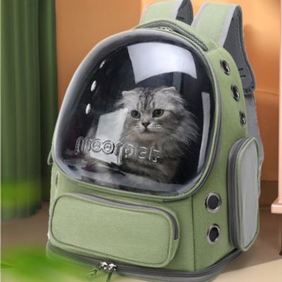 Sac à dos chat vue panoramique vert