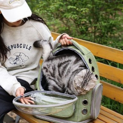 Sac à dos chat | Bulle Panoramique - CHATisfait