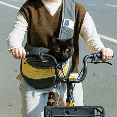 Sac de transport Chat confortable et pratique pour les déplacements